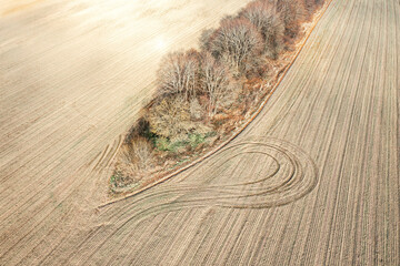 rural landscape with trees growing in the middle of plowed field. aerial view in sunny autumn day.