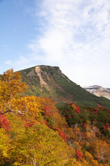 秋の高原と山並み
