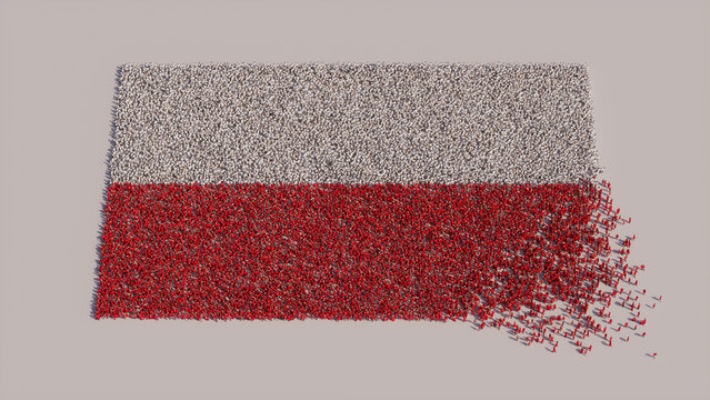 Aerial view of a Crowd of People, coming together to form the Flag of Poland. Polish Banner on White Background.