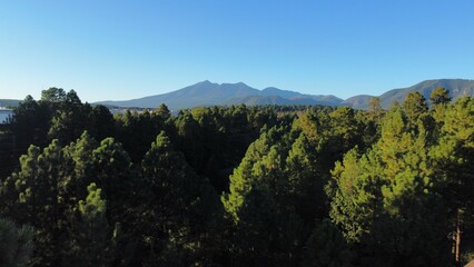 Fototapeta premium landscape with sky