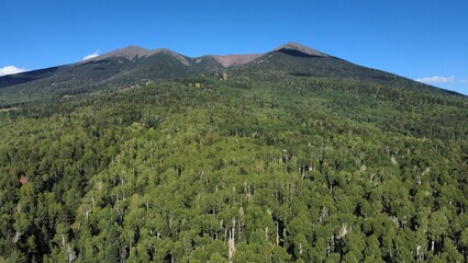 Fototapeta premium landscape with sky