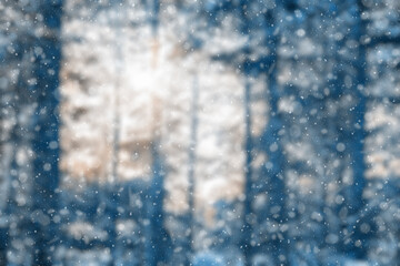  blurred winter forest