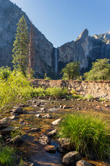 Early morning in Yosemite Valley, USA
