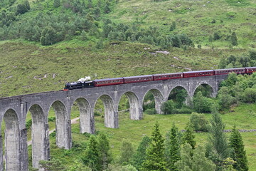 Fototapeta na wymiar Hogwarts Express (Jacobite Steam Train) fährt über das Eisenbahn-Viadukt Glenfinnan Viaduct Harry Potter Brücke, Glennfinnan, Highlands, Schottland