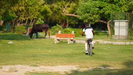 a boy learning to cycle in the park