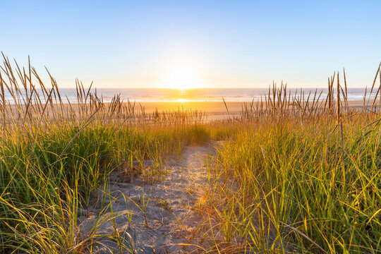 Grass path down to the beach during a sunset