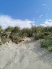 sand dunes on the beach