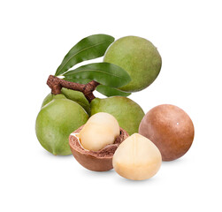 Macadamia nuts with leaves isolated on white background