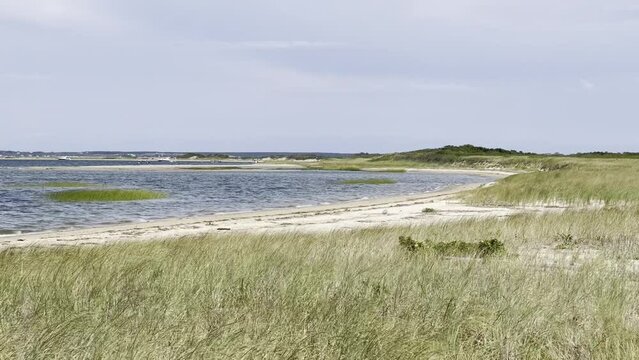 Marsh