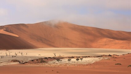 Looking Down into the Salt Pan at Deadvlei, Namib Desert, Namibia