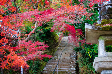 秋の京都・小倉山二尊院で見た、真っ赤な紅葉と背景の階段