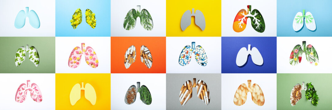 Collage of photos of different lungs, different lungs concepts