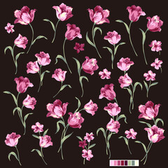 Beautiful tulip flower material collection,