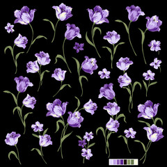 Beautiful tulip flower material collection,