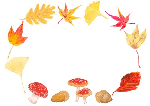 パステル風で秋のイチョウや紅葉やキノコやどんぐりなど秋のフレーム素材