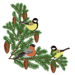 Charming bullfinch birds and two tits on fir branches with cones isolated on a white background.Vector Christmas composition.