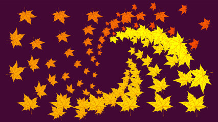Swirl pattern of colorful Fallen yellow orange maple leaves isolated on dark purple brown background. Bright acer leaf vortex. Autumn color template. Poster. Flyer. Celebration Card. Fall season.