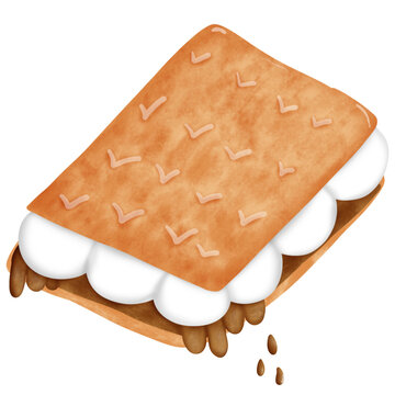Chocolate smore in jungle with cute animals and gnome.train chocolate with tiger lion gnome watercolor style cute elements clipart png.