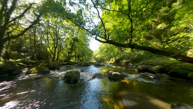 Flying over a River in a Spectacular Wales Forest with Sunlight coming through the Trees
