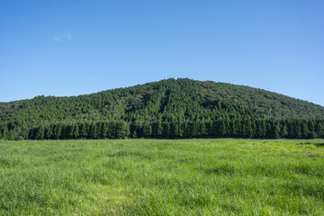 Obraz premium Jeju Island's Wonderful Oreum Scenery