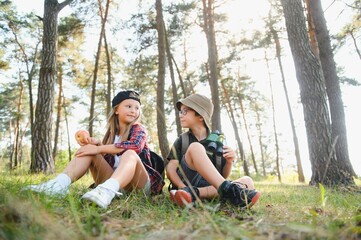 Fototapeta premium kids scouts in the forest.