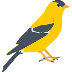 Sparrow Vector Icon