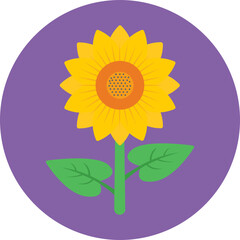 Sunflower Vector Icon