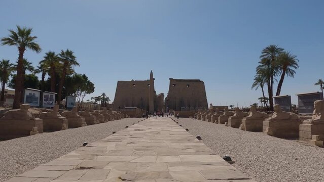 Rows of Sphinx statues lining the route into Luxor Temple. Establishing shot 