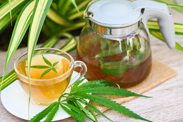 Cannabis tea herbal on tea cup and glass jug with cannabis leaf marijuana leaves herb on nature...