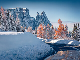 Empty road among snowy forest. First snow covered larch and fir trees at November. Wonderful autumn scene of Dolomite Alps with Schlern peak on background, Italy, Europe.