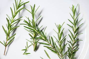 rosemary herb, fresh rosemary on plate white background