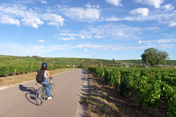 Country road and Sancerre vineyards in the Loire valley