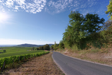 Fototapeta na wymiar Country road and Sancerre vineyards in the Loire valley