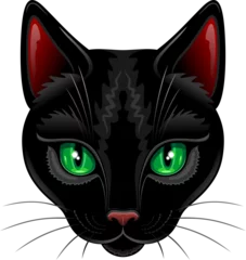 Crédence de cuisine en verre imprimé Dessiner Portrait de chat noir aux yeux verts fascinants