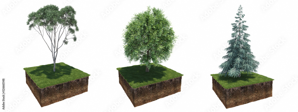 Wall mural deciduous tree and soil cut under it, 3d render