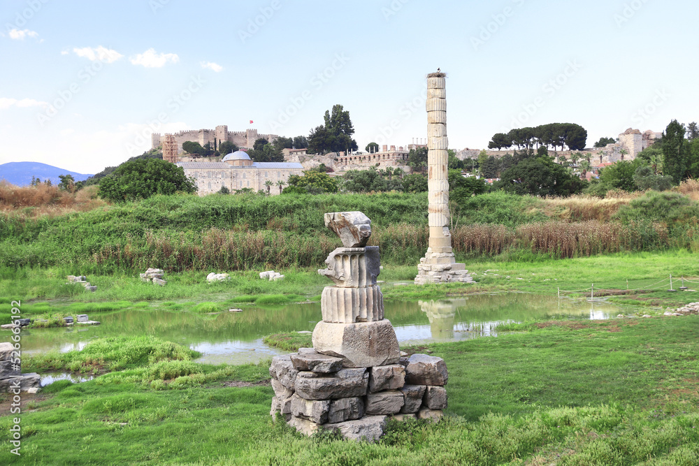 Wall mural column and ruins of temple of artemis ephesus, selcuk, turkey