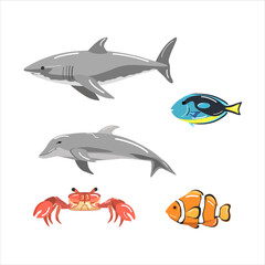 Illustration of a collection of sea animals