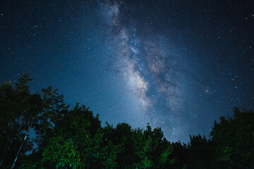 Night scene milky way background,Trees Against Sky At Night