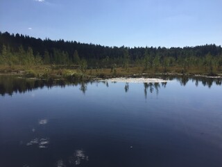 Моховое болото