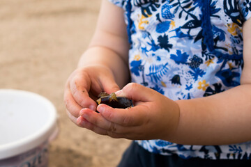 close up of a baby's hands opening a fruit, outside activity, fine motor skills development