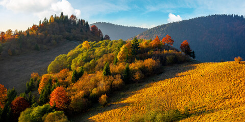 mountainous countryside in autumn. forest in colorful foliage on the hills. mountain range in the...