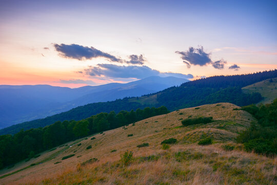 carpathian mountain landscape at dusk. wonderful nature scenery with grassy pasture by the forest on the hill in evening light
