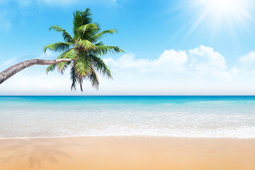 Naklejka na ściany i meble Sea, sand beach and palm tree