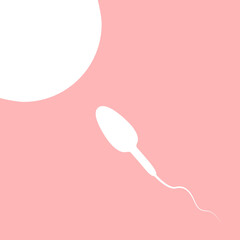 illustration Sperm and egg cell, Fertilization