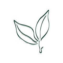 Botanical plant abstract hand drawn