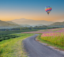 Hot air balloon over the fields with mountain on background at sunset