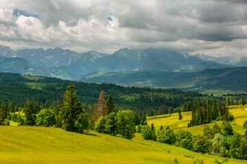 Fototapeta Tatra Mountains landscape, lush green meadows and trees at summer obraz