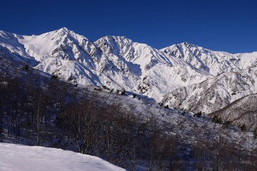 Fototapeta premium Winter scenery in Hakuba, Nagano