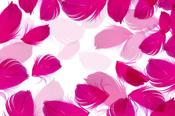 Pink feathers textured background. Feather background, top view