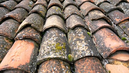 Roof tile.